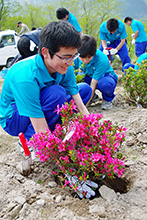 「久遠の丘」に植樹する生徒たち