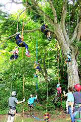 ブナの木で木登り体験