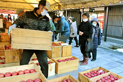 リンゴ販売会