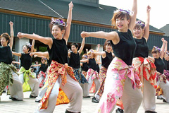 花嵐桜組の応援演舞