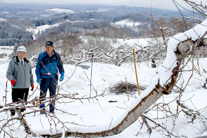 ���n���@