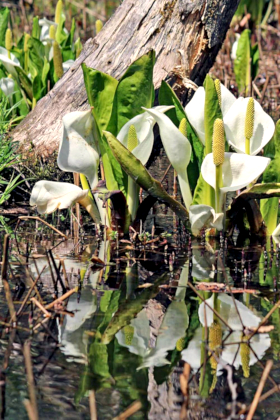 �~�Y�o�V���E