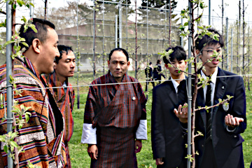 ���n�̎��@